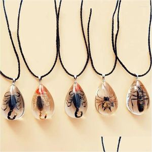 Colliers pendants Collier vintage gothique Scorpion Spider Ant Charm Resin Fashion Real Insect Spécime Bijoux Gift Corde Chain de corde Dhtjw