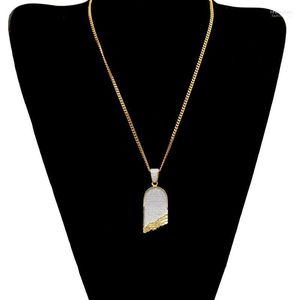 Hangende kettingen hiphop mannen goud kleurteller terreur kristal miami ketting ketting keten Cubaans jewelly voor genezen22