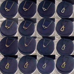 Colliers pendentifs Collier de fer à cheval à vente chaude bijoux de luxe français Original 925 Silver 18K Or 1 1 Mariage Cadeau en gros 240419