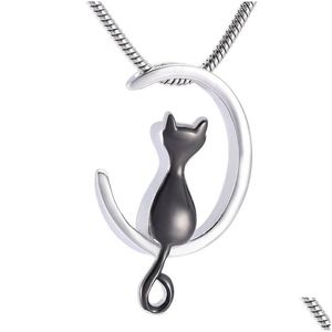 Pendentif Colliers IJD10014 Entonnoir Boîte-cadeau de haute qualité en acier inoxydable Bijoux de crémation Pet Cat Ashes Holder Keepsake Jewelry300D Dr Dhk5D