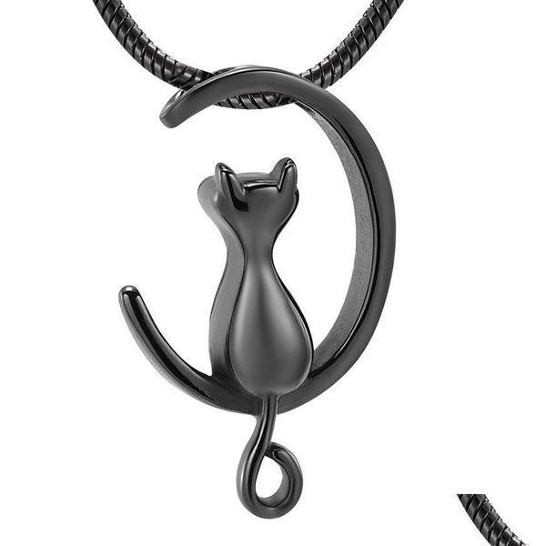 Anhänger Halsketten IJD10014 Trichter Geschenkbox Schwarze Katze Halskette Memorial Urne Medaillon für Tier Asche Halter Andenken Schmuck Edelstahl Dhqpc