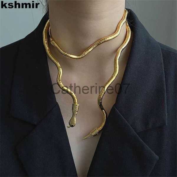 Pendentif Colliers kshmir 2021 New Metal Punk Curved Necklace Accessoires en métal et collier serpent noir et bracelet homme fête d'anniversaire J230809