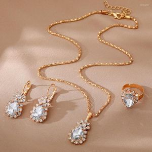 Anhänger Halsketten Luxus Mode Feine Ovale Klaue Kette Set Kristall Halskette Ohrringe Ring Großhandel Dreiteilige Hochzeit Schmuck
