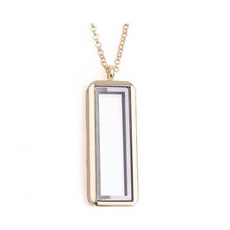 Pendentif Colliers Mixte 10 pièces/lot vertical Rec flottant charme plaine médaillon magnétique vivant verre mémoire collier femmes cadeau de noël Dhb6M