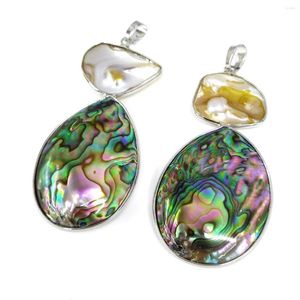 Pendentif Colliers Naturel Abalone Pétoncles Shell Pendentifs Charmes Exquis Pour La Fabrication De Bijoux DIY Collier Bracelet Boucles D'oreilles Accessoires