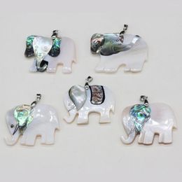 Pendentif colliers coquille d'ormeau naturel mignon éléphant breloques Animal nacre pour collier à faire soi-même femmes faisant