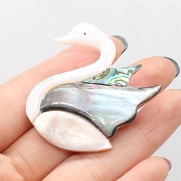 Pendentif Colliers Naturel Coquille D'ormeau Mode Animaux Charmes Top Vente Pour Faire Des Bijoux De Bricolage Collier Cadeau