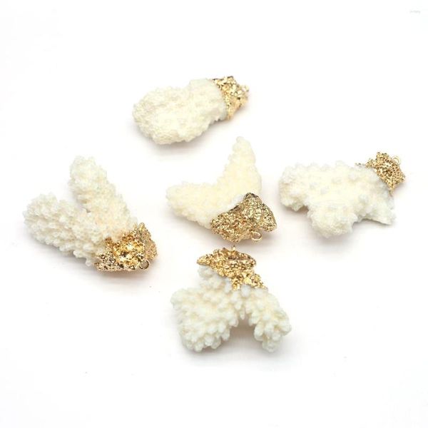 Collares colgantes concha de agua dulce natural encantos de coral blanco para joyas que hacen accesorios de collar de bricolaje a granel al por mayor