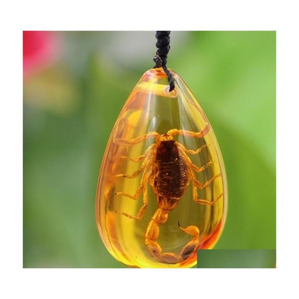 Pendentif Colliers Naturel Insecte Pierre Scorpions Inclusion Véritable Collier Baltique Cadeau Spécial Drop Delivery Bijoux Pendentifs Dhfia