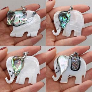 Collares pendientes Concha natural Elefante lindo Madre de perla Para dijes Fabricación de joyas Collar Reiki Heal Gifts