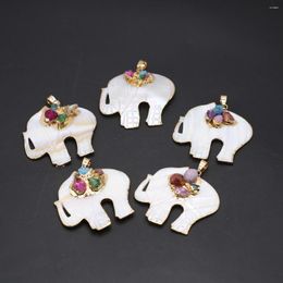 Pendentif Colliers Naturel Shell Éléphant Charmes Druzys Pierre Pour Les Femmes Faisant DIY Jewerly Collier Boucles D'oreilles 45x47mm