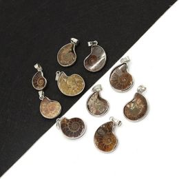 Colliers pendants coquille de pierre naturelle Ammonite Snail 10-35 mm Charme vintage Making DIY Collier Boucles d'oreilles Fashion Jewelry Boutique Accessoire