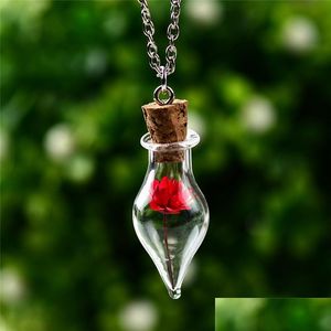 Hanger kettingen nieuwe wensende flessen gedroogde bloem kettingen vrouwen ketting glazen plant mode sieraden kerstcadeau wil en zand dhl3u