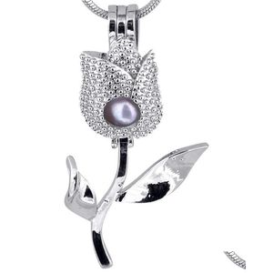 Pendentif Colliers Paquet De 5 Sier Plaqué Pointe Forme Souhait Amour Cage Saint Valentin Cadeau Plus Charmant P53 Drop Delivery Bijoux Pendentifs Dhjyk