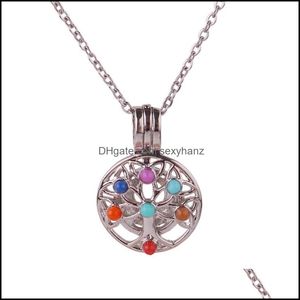 Hangende kettingen hangers sieraden K1694 ronde chakra stenen reiki punt parel parel kooi aroma etherische olie diffuser medk ketting met