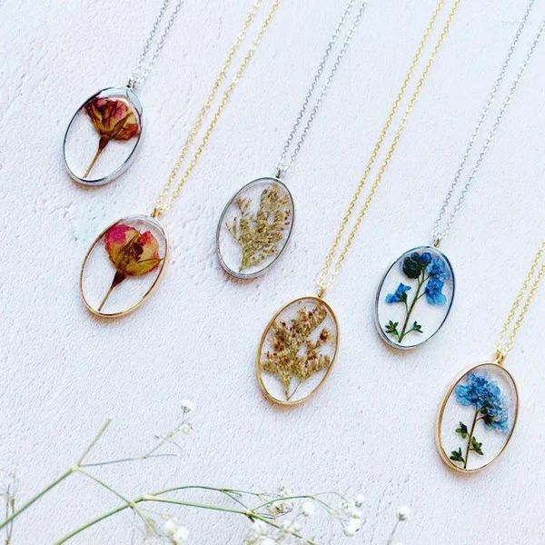 Colliers pendants spécimen de plante Collier de fleurs sèches Série de forêts de forêt