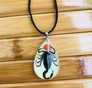 Pendentif Colliers Résine Insecte Charmes Collier Insectes Lumineux Ambre Corde Scorpion Ant Stalls Fabricants WholesalePendant