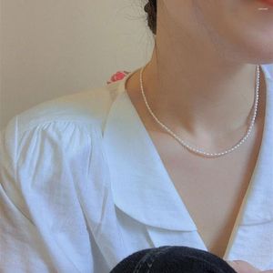 Colliers pendants Collier de perles de coquille élégante simple pour femmes plaquées or en acier inoxydable liaison dames bijoux amies amis aîné cadeaux