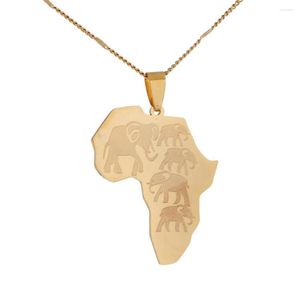 Pendentif Colliers En Acier Inoxydable Afrique Carte De La Faune Africaine À La Mode Éléphants Motif Collier