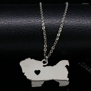 Hanger kettingen roestvrij staal schattige honden ketting mannen minimalistische vriend zilveren kleur sieraden colar N7413S07