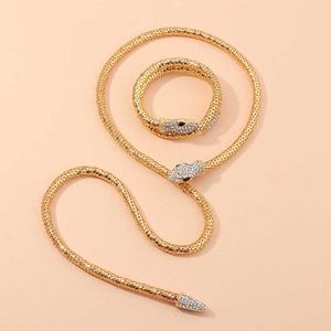 Hanger Kettingen Strengen Strings Nz1675 parel sieraden mode geest slang diamanten halsketting Snake Armband