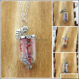 Pendentif Colliers Supernatural Ange Aile Feuille Sel Roche Bouteille Protection Verre Véritable Fleur Sèche Collier Drop Delivery Bijoux Penda Dhvae