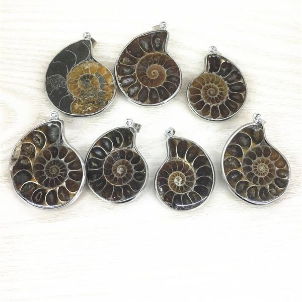 Pendentif colliers en gros 6 pcs/lot mode pierre naturelle ammonite escargot coquillage pendentifs pour bijoux accessoires faisant droppendant