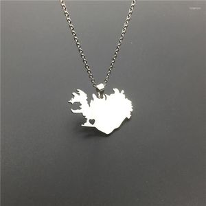 Pendentif Colliers En Gros En Acier Inoxydable Collier Islande Carte Géométrique Coeur Femmes Déclaration Personnalisée Bijoux Cadeau