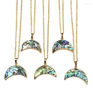 Colliers pendentifs WT-N771 gros collier d'ormeau Paua Shell bijoux style Boho
