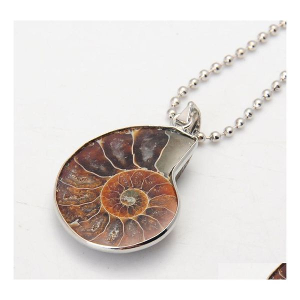 Pendants Collier fossiles d'ammonite Sier Swirl Snail Snail Amonite Bijoux Bohemian Drop Livrot Home Garden Arts Crafts DH95A