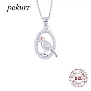 Pendentifs Pekurr 925 en argent Sterling ovale rond moineau oiseau collier pour femmes Zircon cerceau Pigeon collier bijoux fins