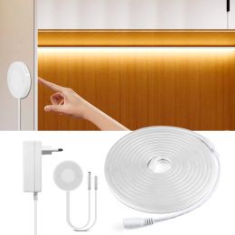 Penetreerbare hout Luz LED -sensor Smart Touch Switch LED Licht strip Dimable kast Garderobe LED -tape 12V Nacht keukenverlichting