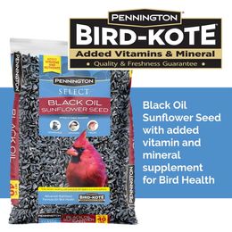 Pennington Select Black Oil Suower Seed Nourriture sèche pour oiseaux sauvages, 40 lbSac, 1 paquet