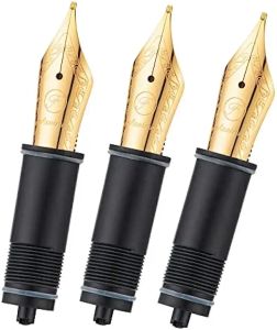 Pennen 3 PCS Asbine Fountain Pen vervangen NIB's, EF/F/M NIB voor ASVINE V169, P20, P30 en V126, niet passend P36