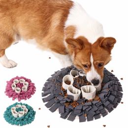 Stylos à linge de chien de chien gâteaux interactifs gaspillement de puzzle