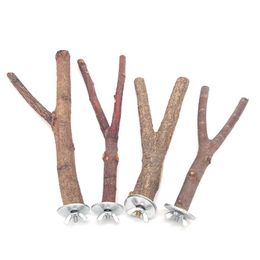 Perchoirs en bois naturel pour animaux de compagnie, perroquet, fourchette en bois brut, support de branche d'arbre, écureuil, oiseau, branche de Hamster, perchoirs à mâcher, jouets, fournitures de bâtons