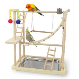 Zit Parrot Interactive Playground, Parrot Training, Solid Wood Stand Stand Stand Bar Stand Bar Bird Supplies Stand Bar