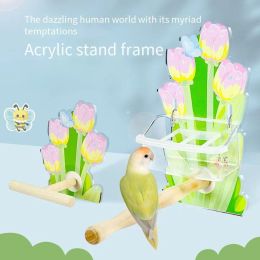 Zit Parrot Stand Parch Acryl Stand Pole Tulip Flower Playground Bird Accessoires House Fashion For Cage Parakeet Budgies kleurrijk