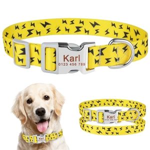 Collier personnalisé pour chien, étiquette de nom gravée, colliers d'identification, petit, moyen et grand, 220621