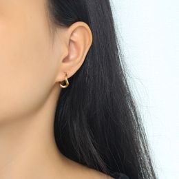 Gepersonaliseerde oorbellen Veelzijdig Instagram Eenvoudig titanium staal Geometrisch gedraaid hart Onregelmatige oorbellen Oorclip Koud en elegant Dames