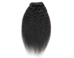 Peruaans haar Kinky Recht 824 inch Clipin Hair Extensions Natuurlijke Kleur Yaki Clip-on Haarproducten 120g4773840