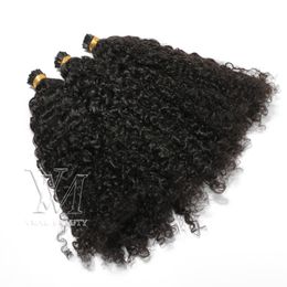 Peruaanse Mongulian I Tip Afro Kinky Curly 100 STRANDS Pre -gebonden stok I Tip Keratin Fusion Virgin Human Hair Extension