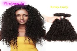 Péruvien Crépus Bouclés 3 Bundles Extensions de Cheveux Humains Naturel Noir Pervien Vierge Trames de Cheveux 1028 pouces6383229