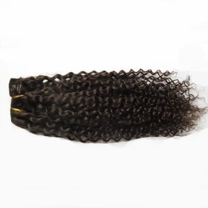 Tissage en lot péruvien naturel Remy, cheveux crépus bouclés, 8-28 pouces, 1 pièce, livraison gratuite