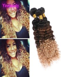 Peruvian ombre Human Hair Three Tone Color 1B427 Vave profonde Yiruhair Curly 1B 4 27 Human Hair 3 Bundles3468448