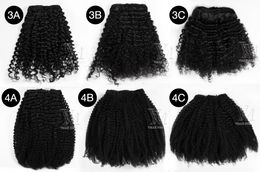 Extensions de cheveux humains péruviens remy vierges 4A 4B 4C Afro crépus lisses 3A 3B 3C couleur naturelle alignés avec cuticules 200g