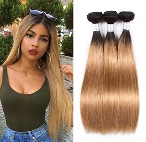 Peruvian Roir les cheveux humains tissages ombre 2 tonalités 1B / 27 Color Double Tofts 100g / PC peuvent être teintes blanchies