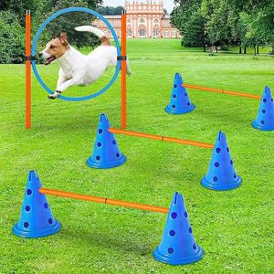 Entrenamiento de agilidad de mascotas Conjunto de barra de salto Equipo de obstáculo para perros Suministros de obstáculos de obstáculos 231221