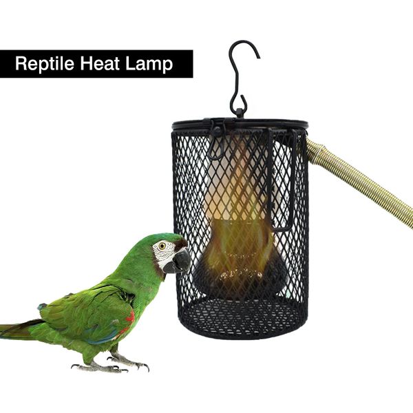 Pet Animal chaud Light Parrot Lampe chaude Turtle chauffant lampe à oiseaux Couverture de lampe en céramique Lézard Reptile Hiver Supplies Habarage