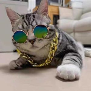 Gafas de sol para gatos, accesorios divertidos para fotos con joyería de personalidad, perrito